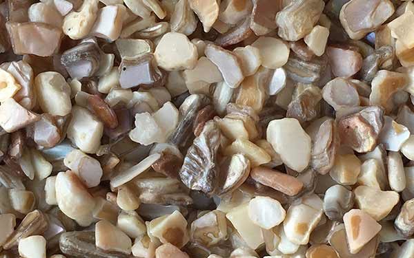TERRAZZCO Fresh Water Mother of Pearl Shell Aggregates