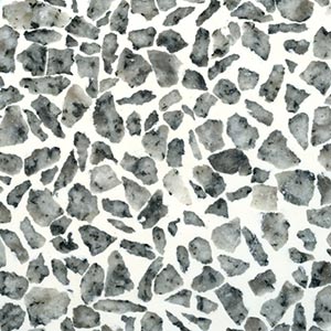 Salt and Pepper Granite Terrazzo Sample