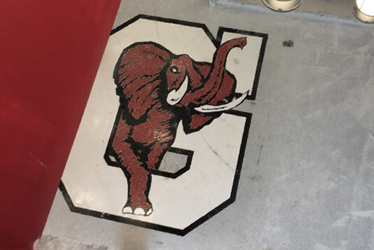 Elephant Design Terrazzo Logo