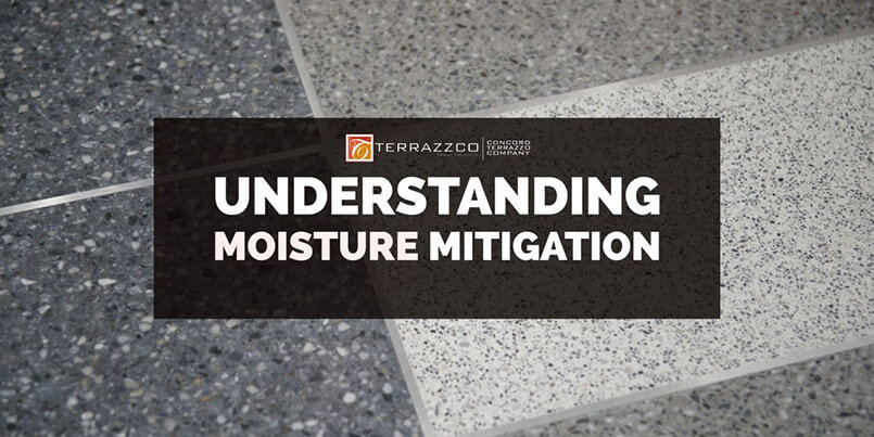 Understanding Moisture Mitigation