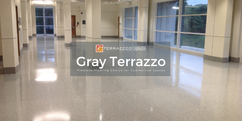 Gray Terrazzo